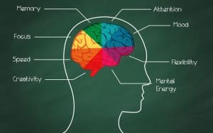 Nootropics