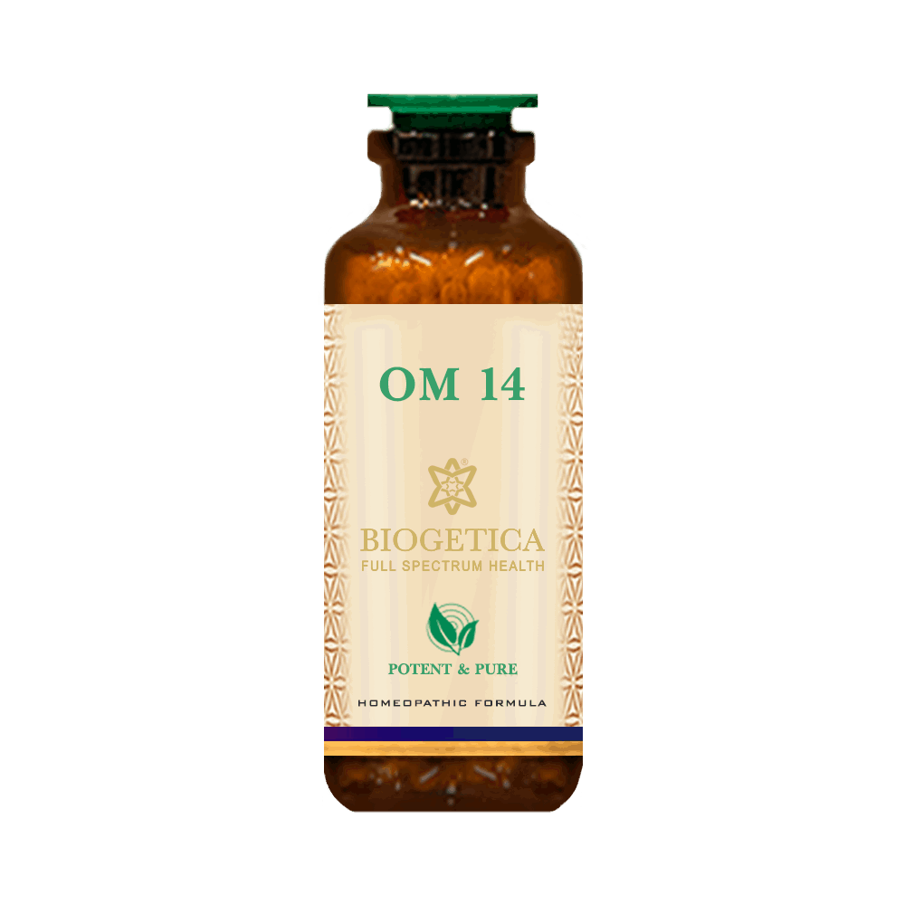 OM 14 SMALL INTESTINES