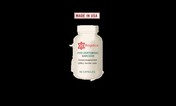 HVD Vertebrae