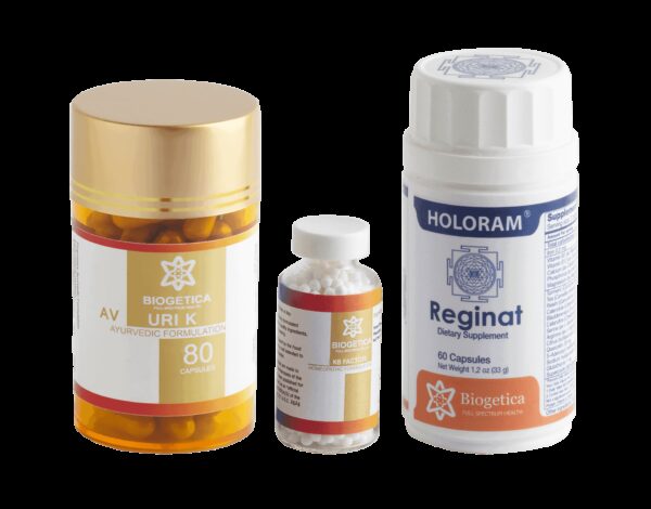 Full Spectrum Renal support kit with Reishi and Punarnava