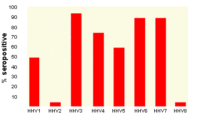 Graph indicating seropositivity in herpes patients  Graph indicating seropositivity in herpes patients