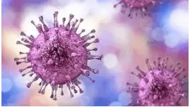 Managing Herpes Blisters: A Comprehensive Guide