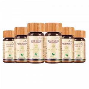 Reginmune 80 Pack of 6